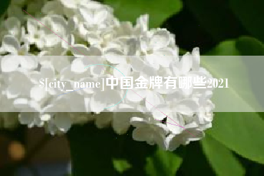 灯塔中国金牌有哪些2021