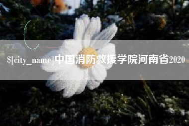 灯塔中国消防救援学院河南省2020