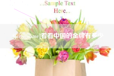 灯塔看看中国的金牌有多少